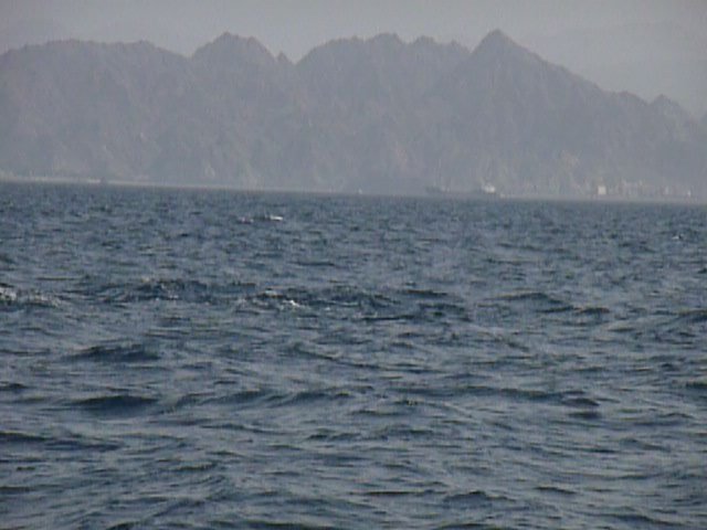 Oman 05 2011 (146).JPG